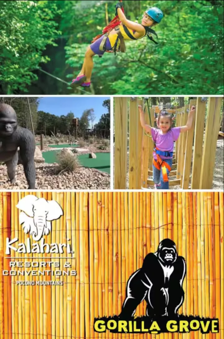 Nearby Kalahari attractions